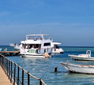 Glasbodenboot Tour Hurghada