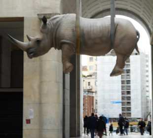 Rinoceronte di Piazza Vittoria