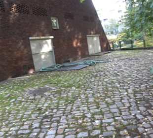 Akademie der Künste