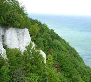 Blick vom Königsstuhl