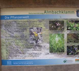 Almbachklamm