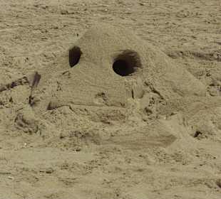 Schaut einfach mal alle an