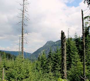  Weg- Meeresauge Zakopane. 