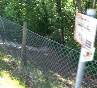 Früchtetrauf - Wurmlinger Kapellenwegle