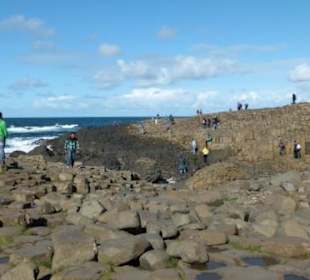 Alle Besucher sind begeistert