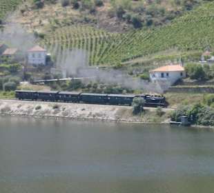 Folgosa do Douro, Nostalgie-Dampfeisenbahn a.Douro