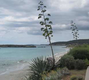 Strand von Santo Tomas