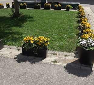 Haupt- und Landgestüt Marbach