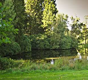 Кладбище Ольсдорф, Гамбург, 16 сентября 2013 года