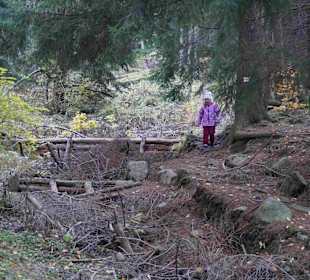 Riesengebirge/Karkonosze
