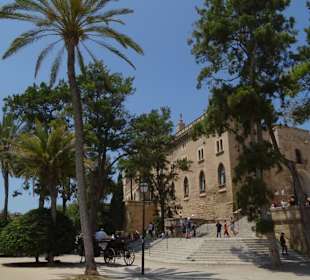 Palma 4