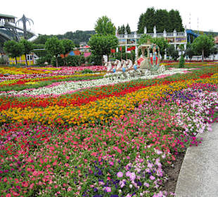 Blumenmeer