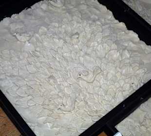 In einer Bauernküche im Museo Etnografico