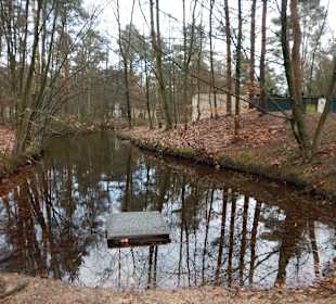 Aussenbereich Natur