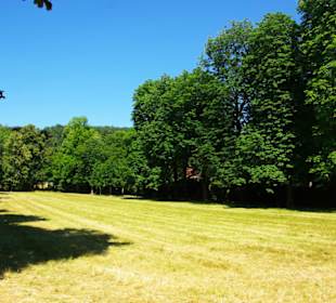 Der Schlosspark seitlich davon