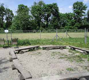 Straußenfarm Mhou Rülzheim