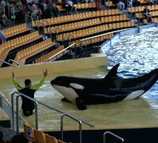 Loro Parque - Ein Muss