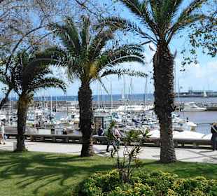 Marina Funchal