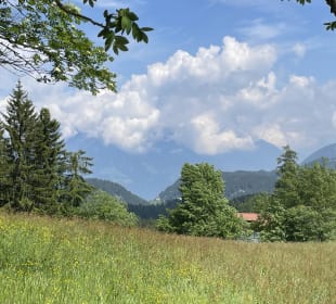 Ausblick zurück