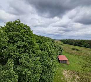Kranichwoog Hütschenhausen in Hütschenhausen