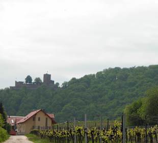 Blick auf die Burg