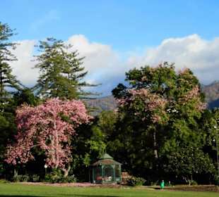 Park ve Funchalu