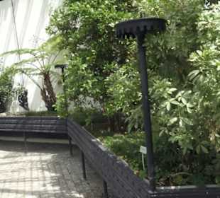 Alter botanischer Garten