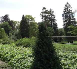 Schloss Albgut