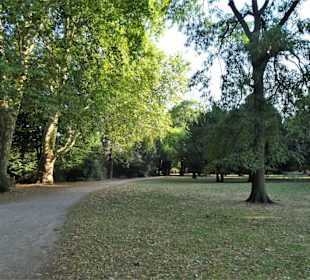 Spaziergang durch den Kölner Stadtgarten
