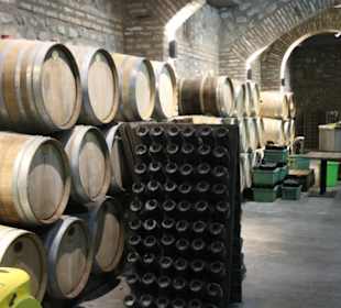 Weingut Schuchmann - Fässer