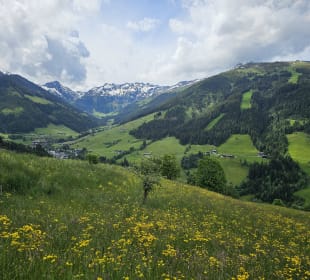 Wandern Alpbach