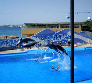 Marineland