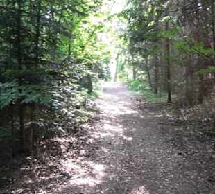 Kreuzweg zum Tannenrain