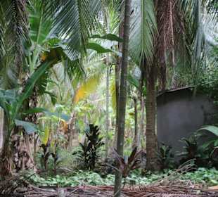 Bloß nicht verlaufen!