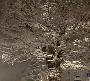 Wandern Zella-Mehlis