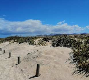 Naturpark Dünen von Corralejo