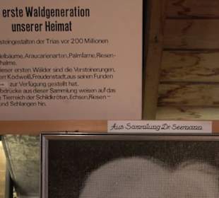 Heimatmuseum Freudenstadt