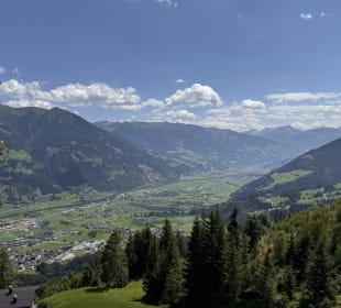 Ausblick