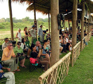 Zuschauer am Spielfeldrand
