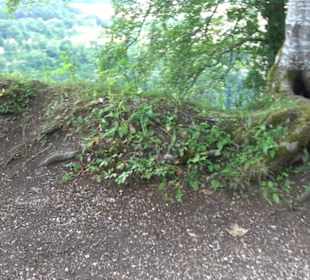 Burg Alt-Lichtenstein