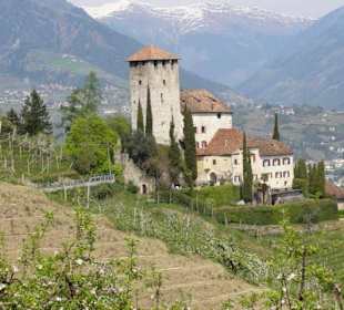 Blick vom Haidenhof auf Schloß Lebenberg