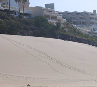 Strand von Morro Jable