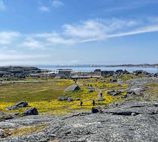 Impressionen Nanortalik