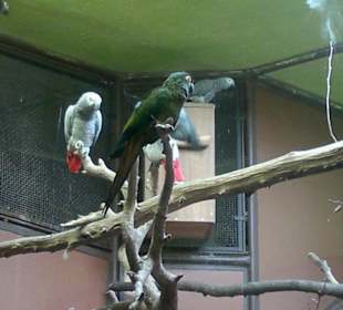Zoo Brno