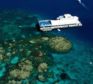 Reef Magic - Marine World