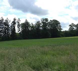 Premiumwanderweg "hochgehackert"