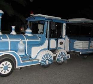 Unser Shuttle-Zug