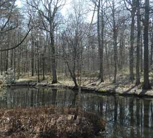 TraumRunde Schwanberg: am Zypressensee