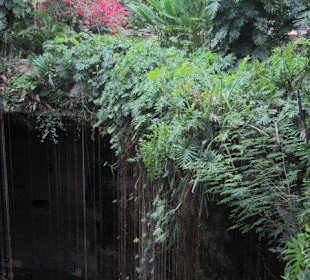 Cenote Ik-Kil