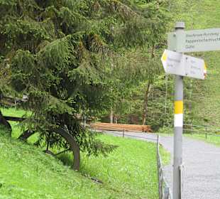 Von Staufensee zur Rappenlochschlucht